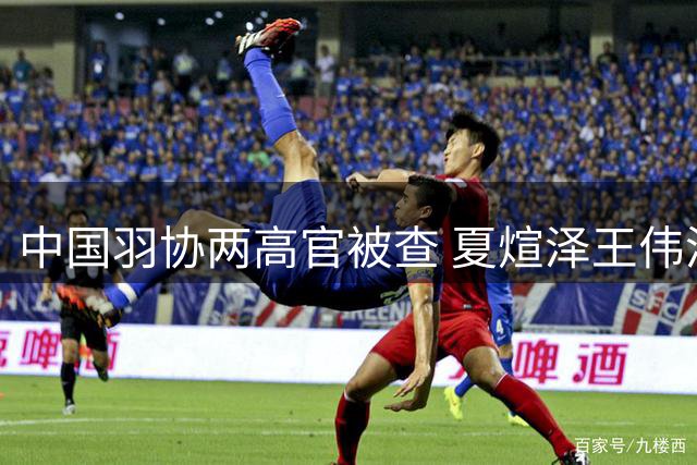 中国羽协两高官被查 夏煊泽王伟涉严重违纪接受调查