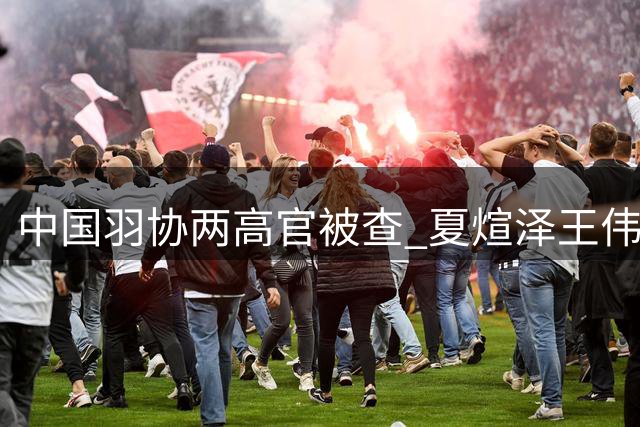 中国羽协两高官被查 夏煊泽王伟涉严重违纪接受调查
